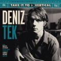 Deniz Tek ‎– Take It To The Vertical vol. 2 LP